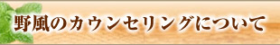 野風のカウンセリングについて